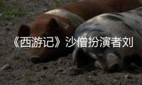 《西游记》沙僧扮演者刘大刚去世 享年78岁